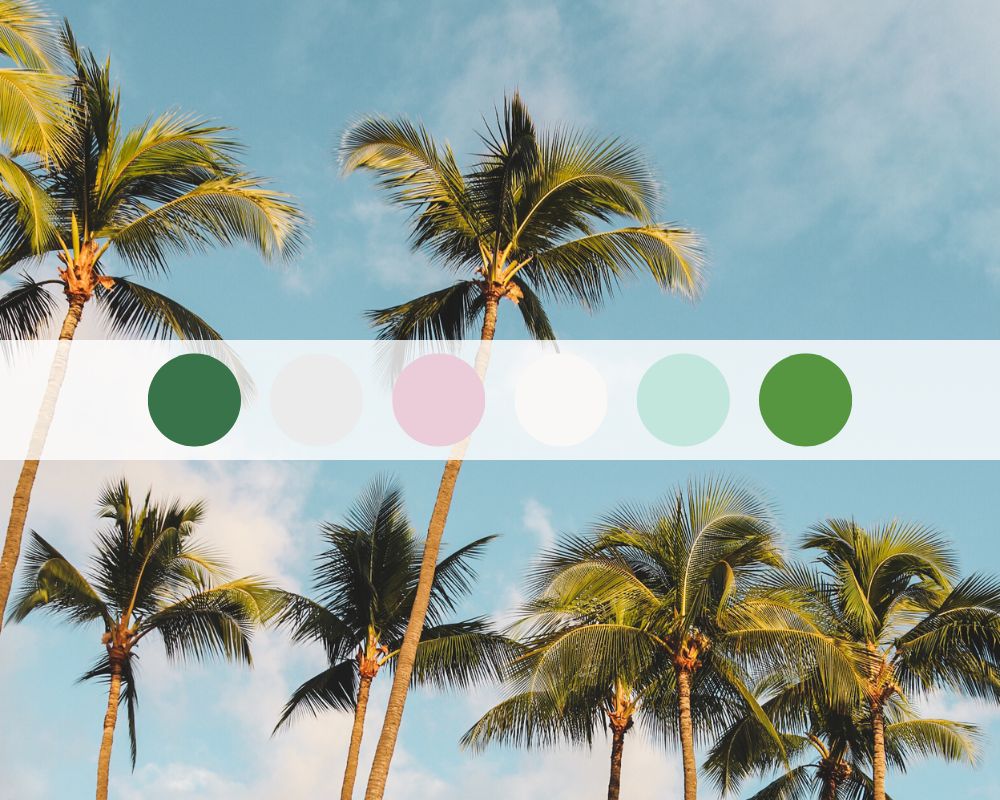 Palm
