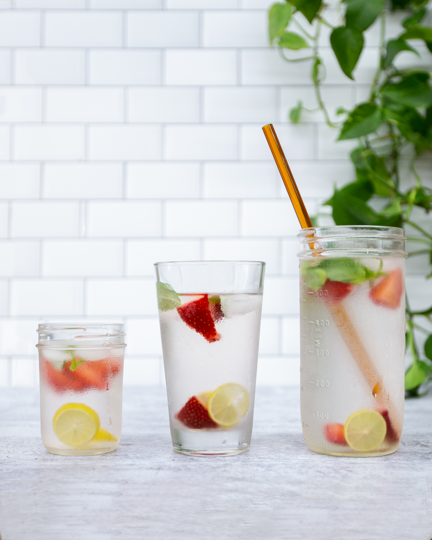 Single Straight Glass Straw