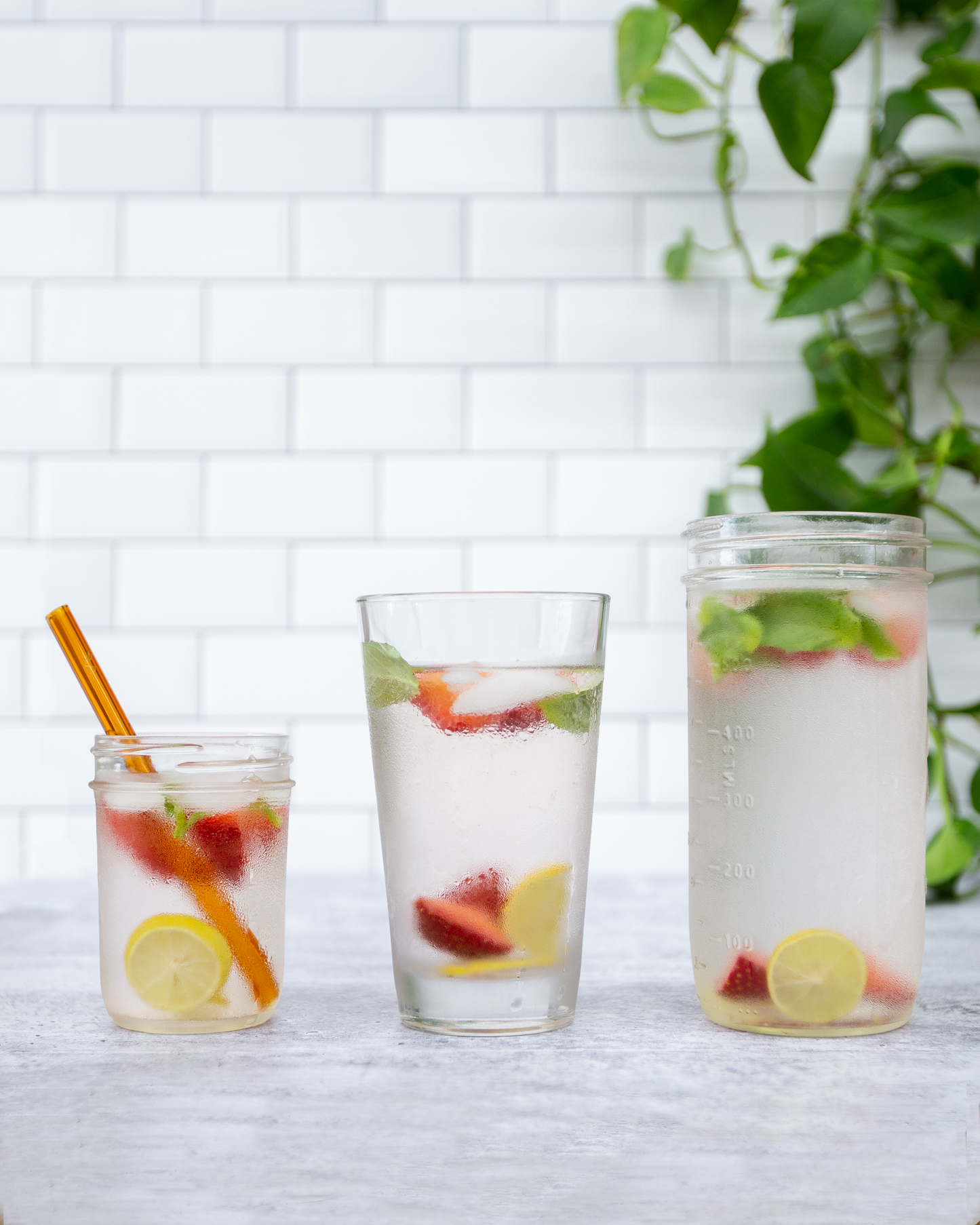Single Straight Glass Straw