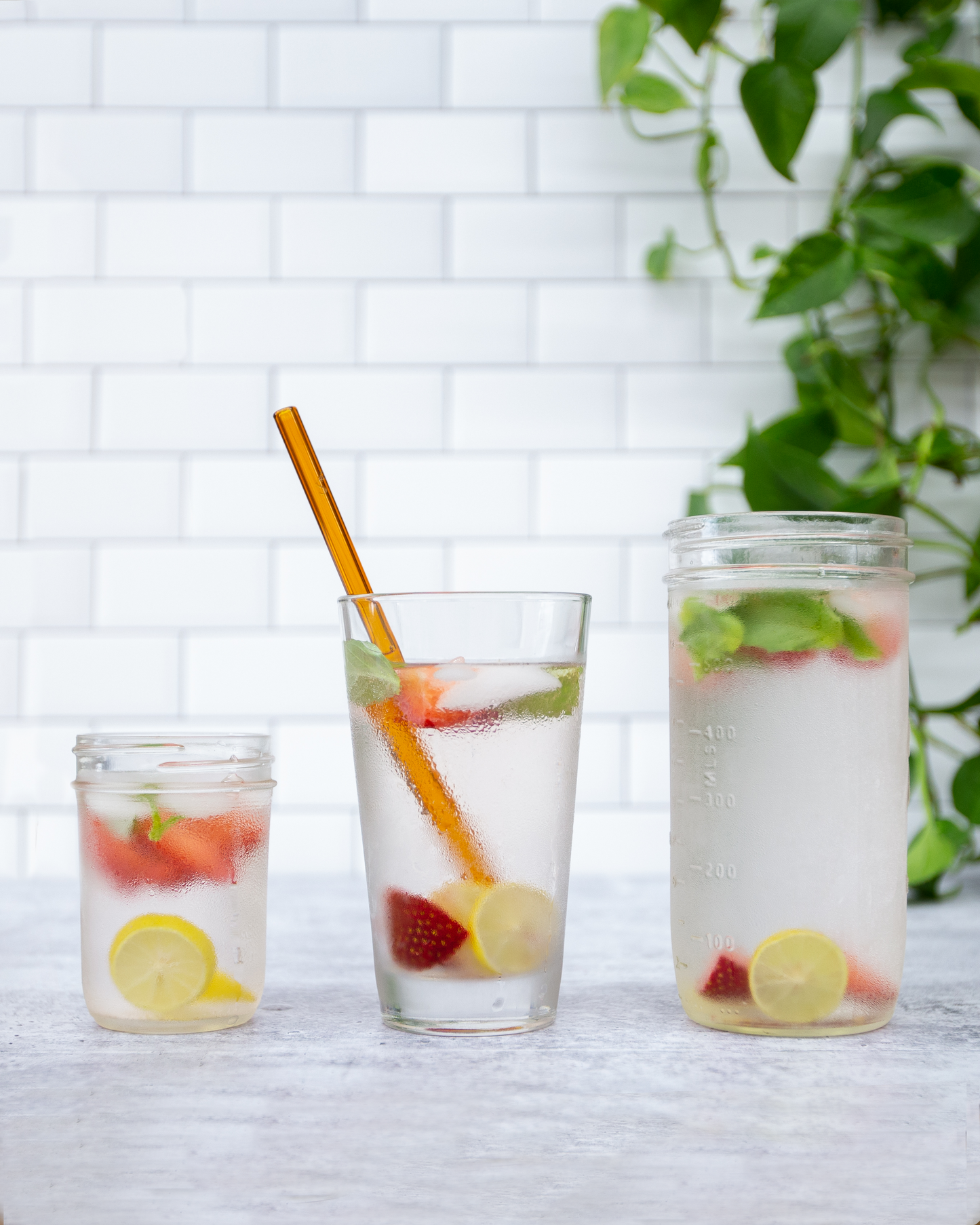 Single Straight Glass Straw