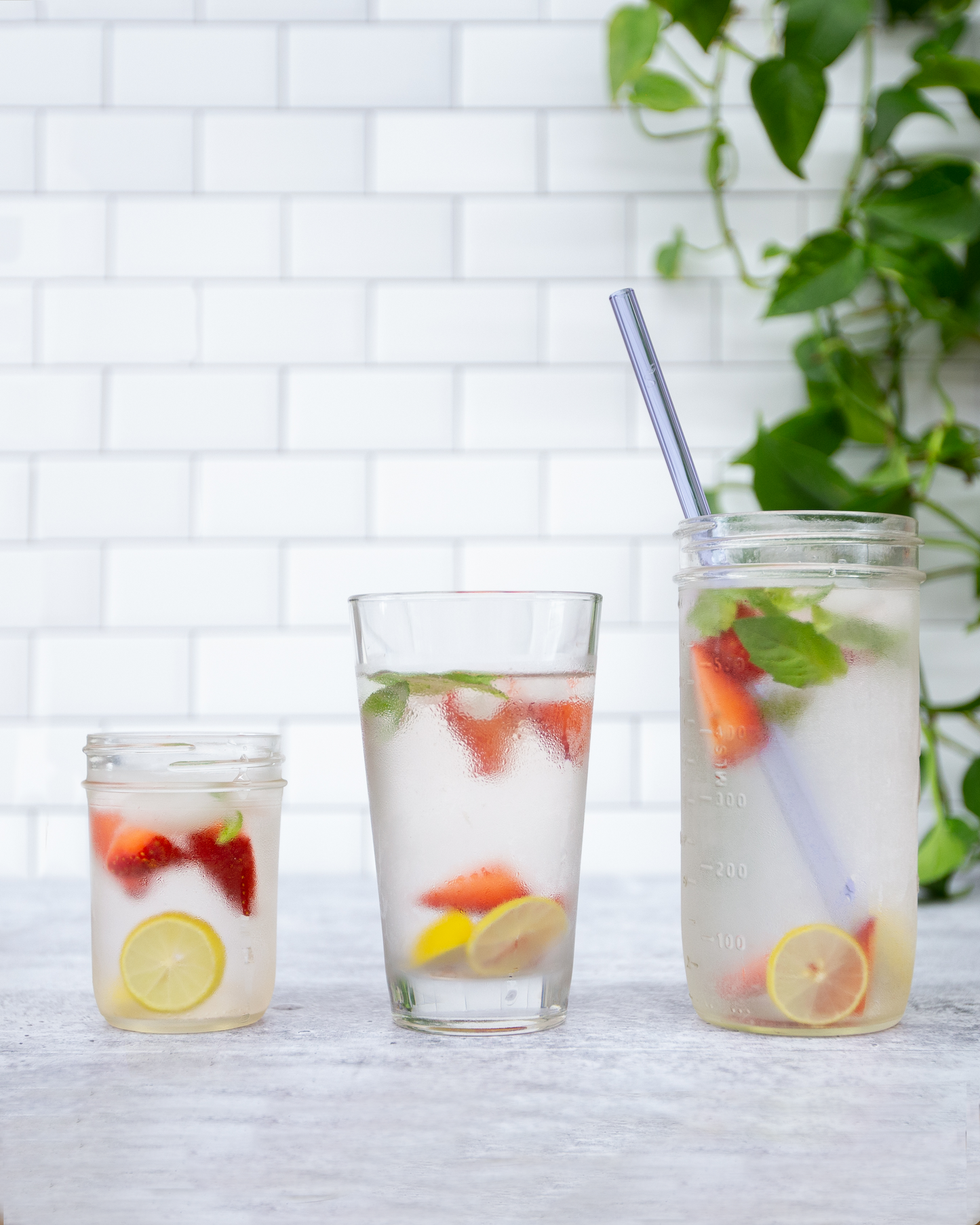 Single Straight Glass Straw