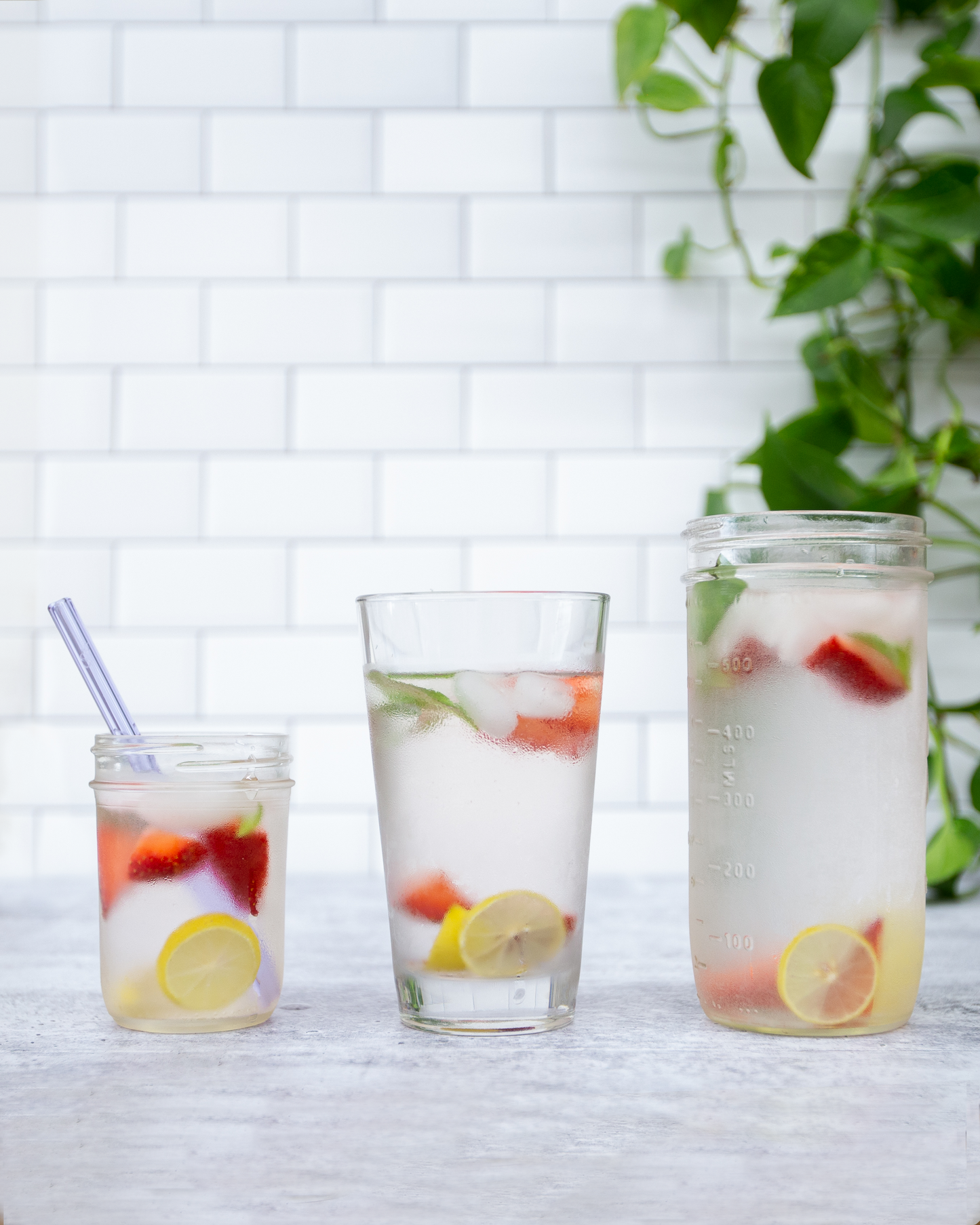 Single Straight Glass Straw