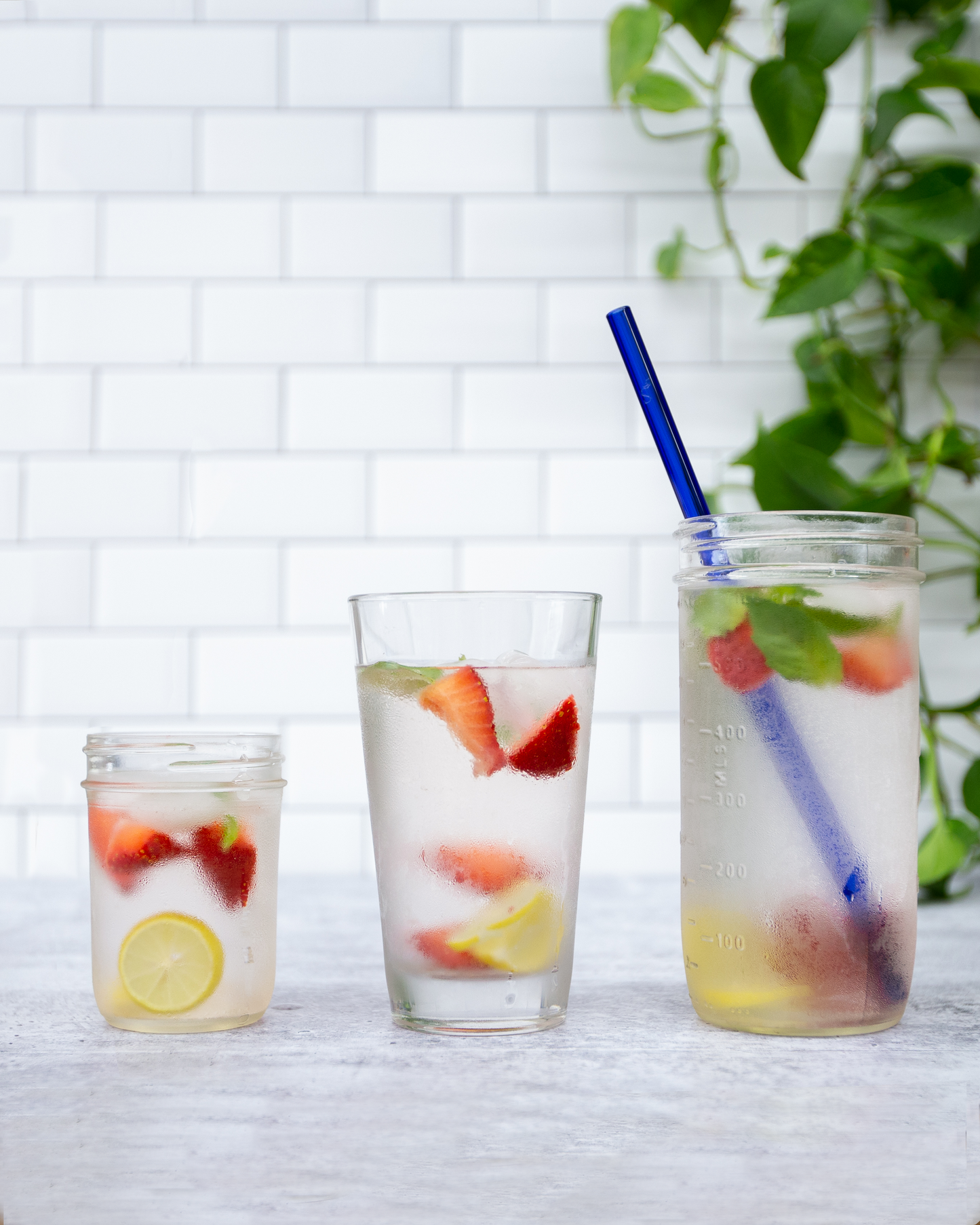 Single Straight Glass Straw