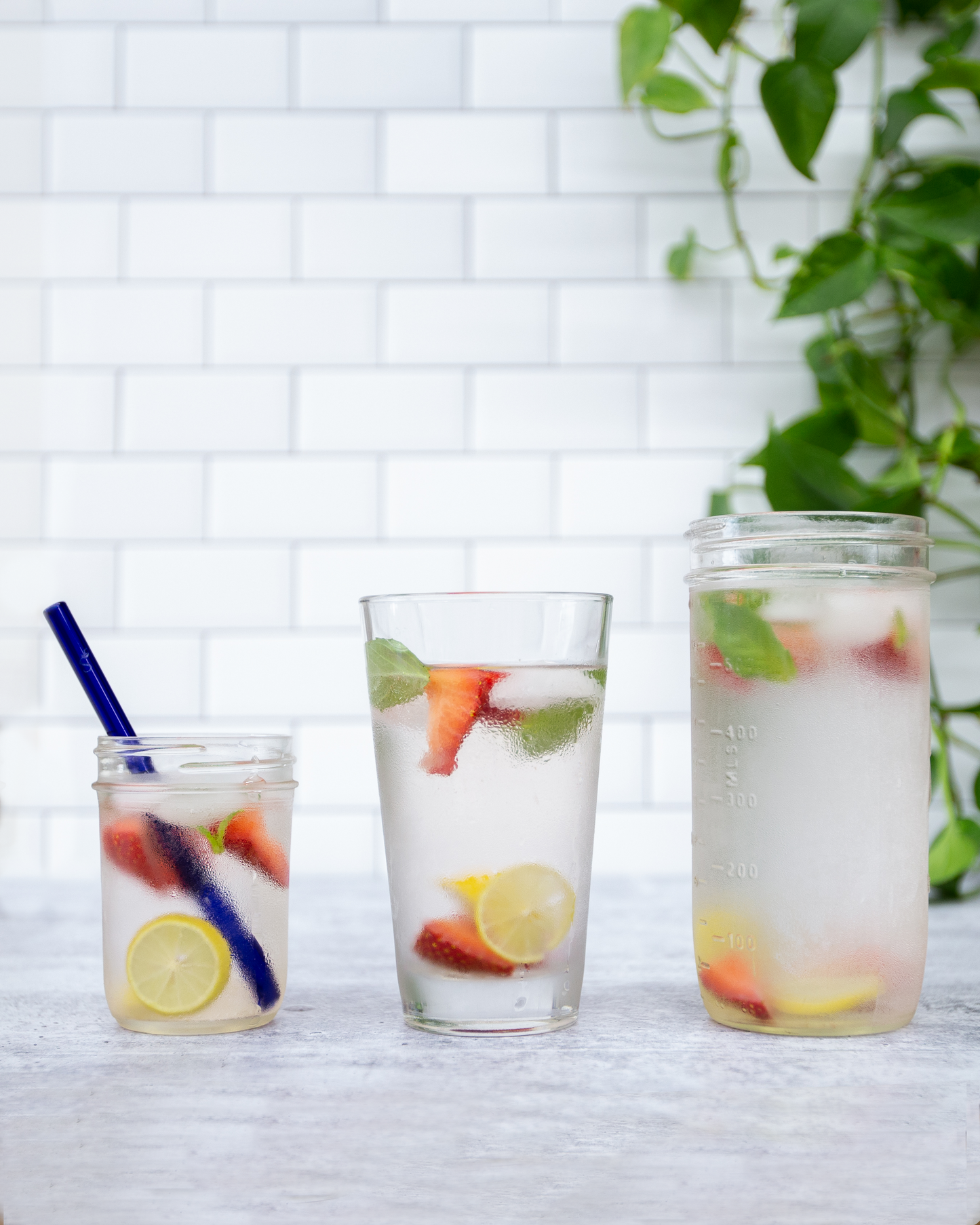 Single Straight Glass Straw