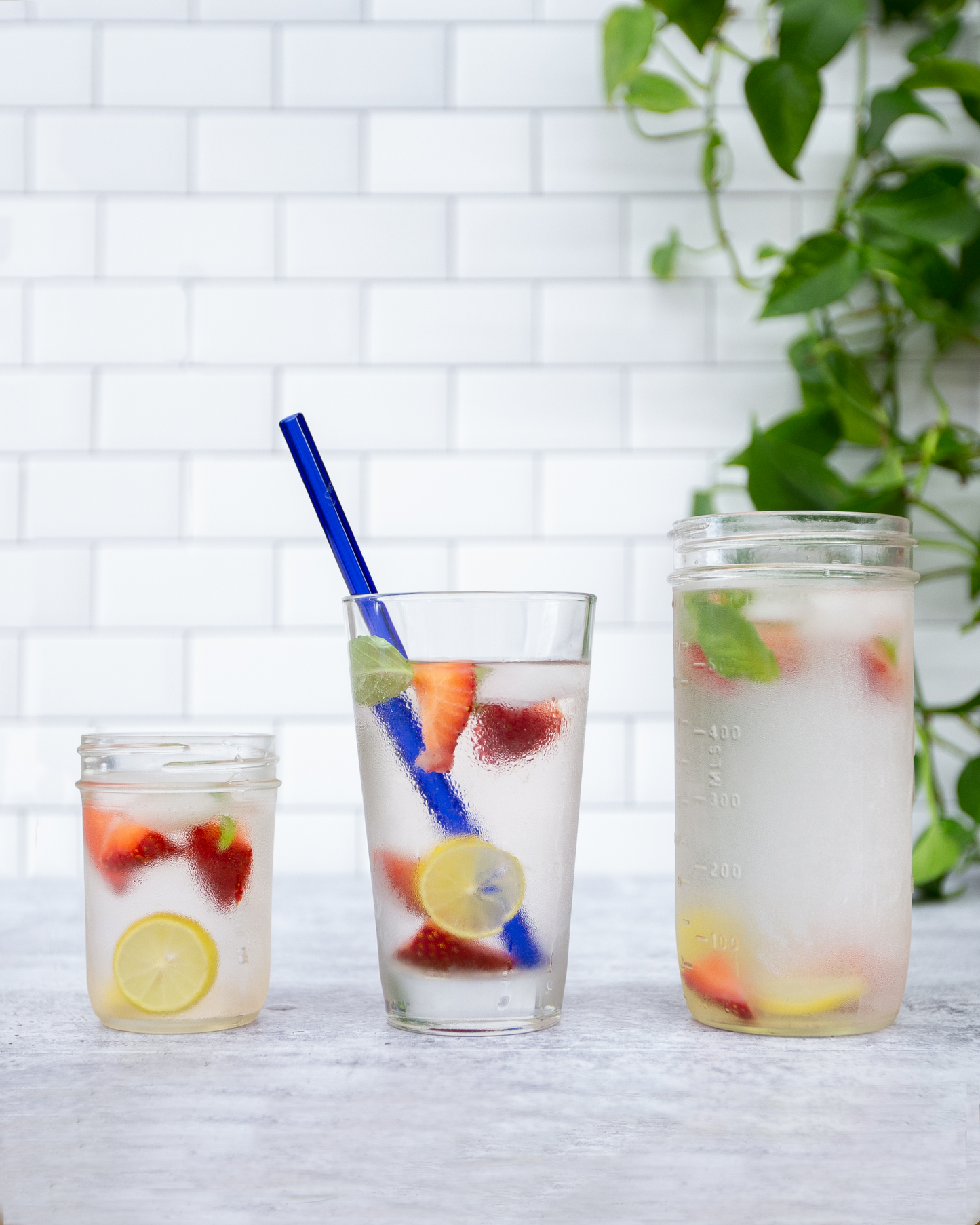 Single Straight Glass Straw