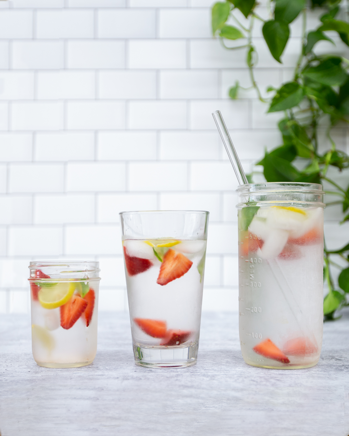 Single Straight Glass Straw
