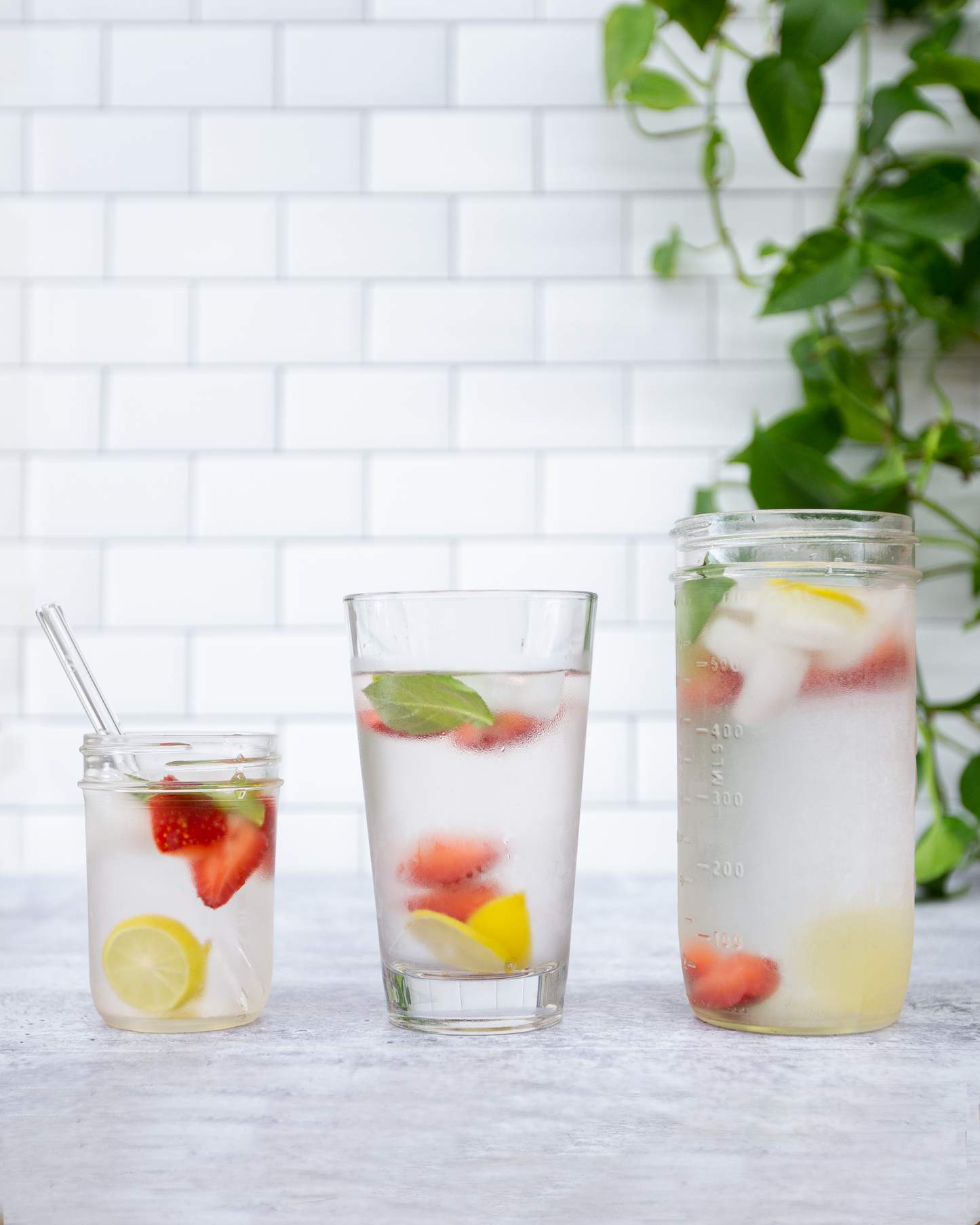 Single Straight Glass Straw