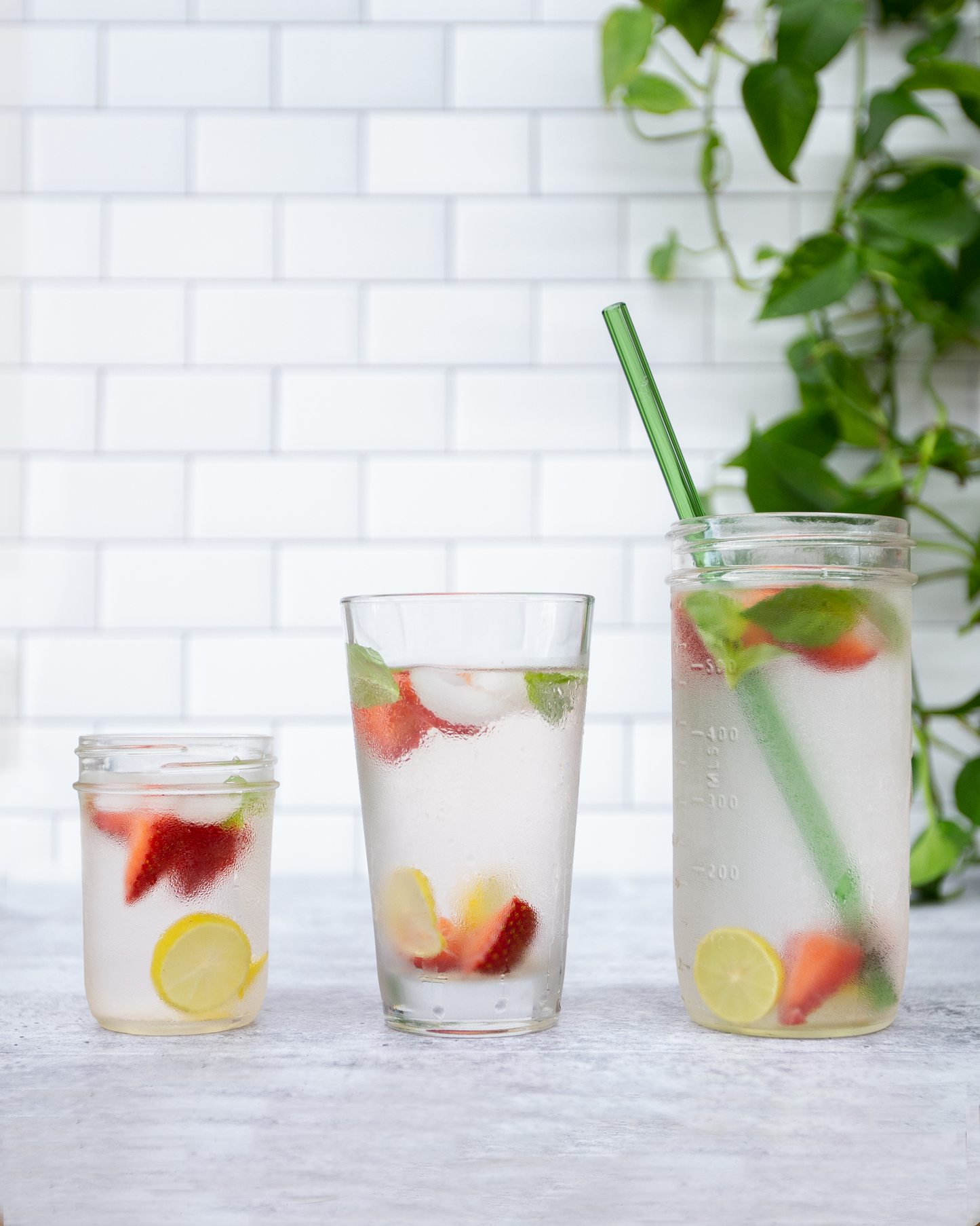 Single Straight Glass Straw