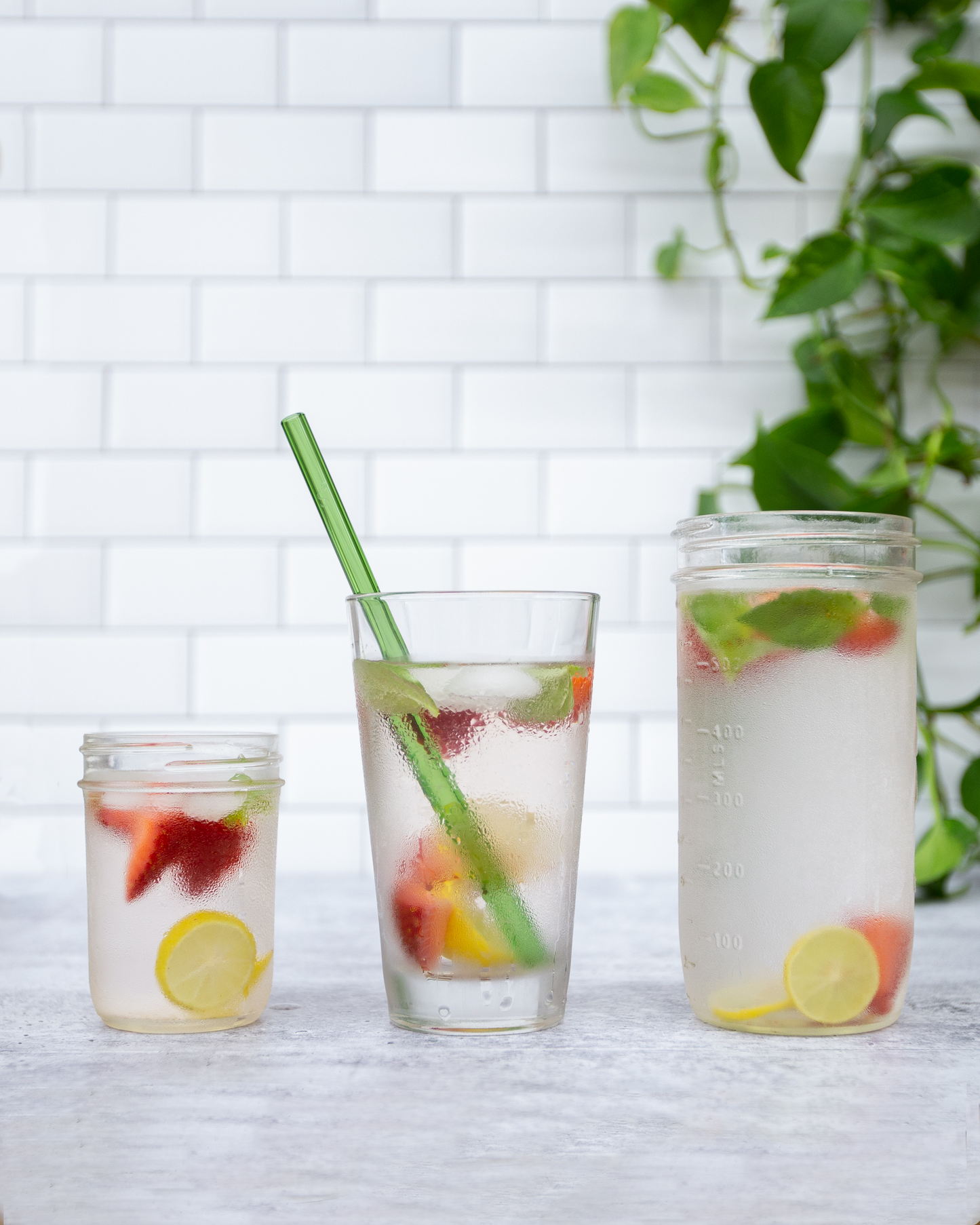 Single Straight Glass Straw