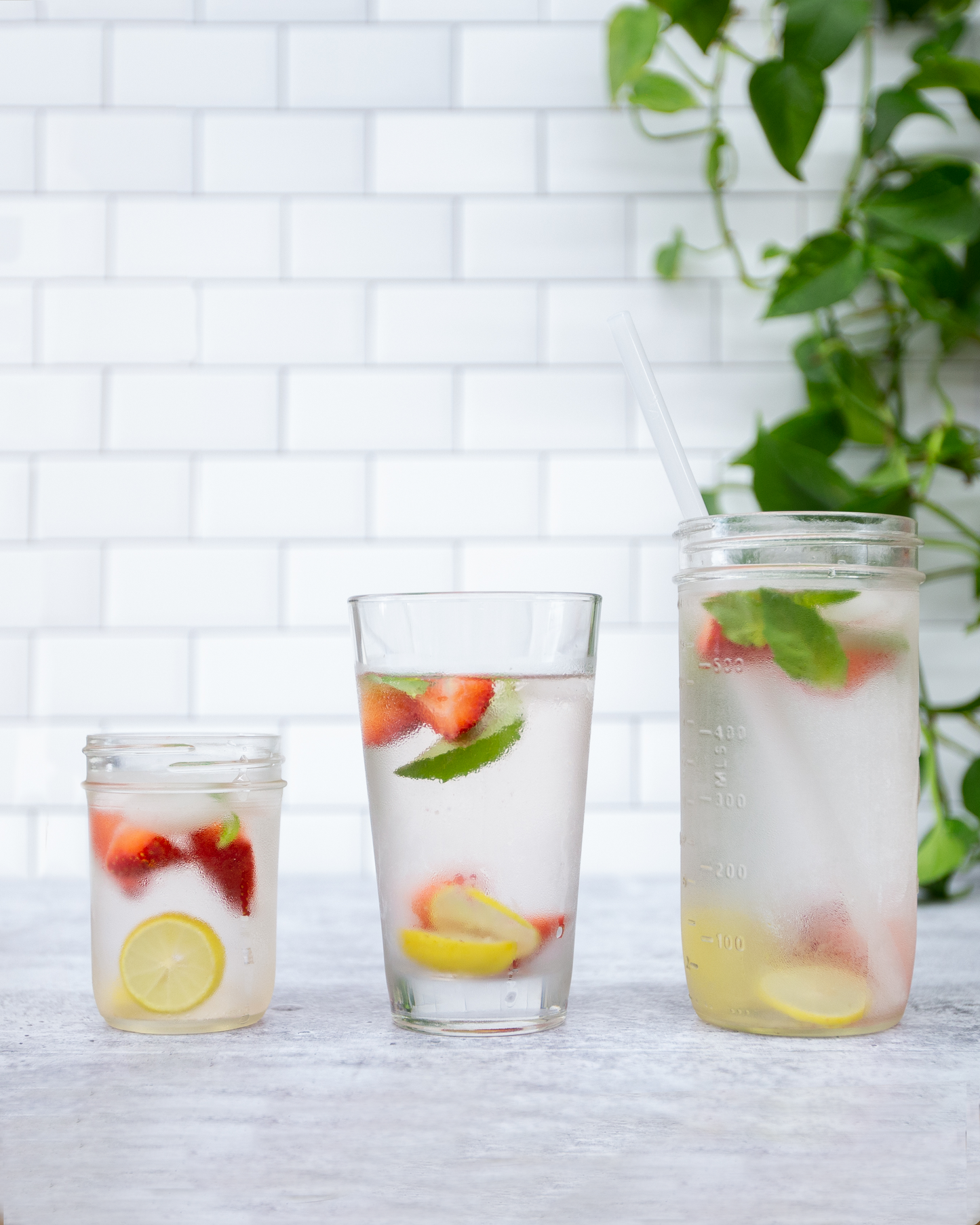 Single Straight Glass Straw