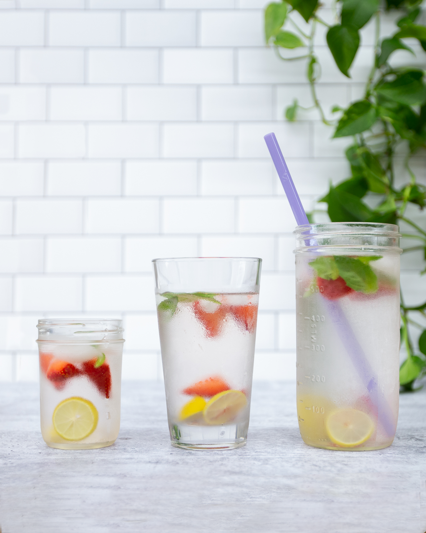 Single Straight Glass Straw
