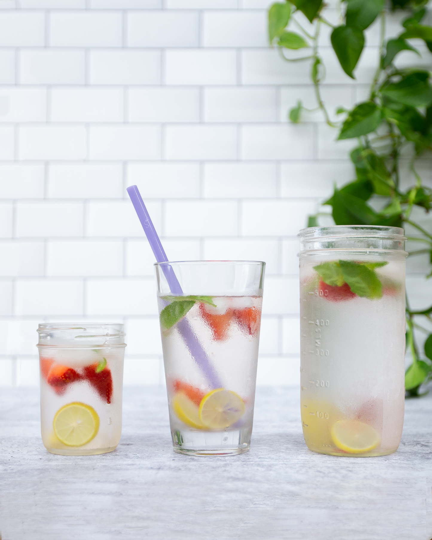 Single Straight Glass Straw