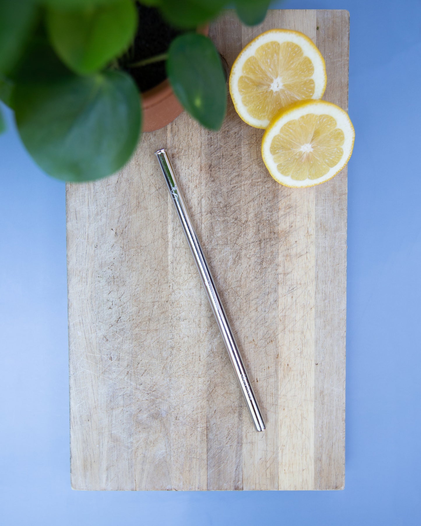 Stainless Steel Single Straw