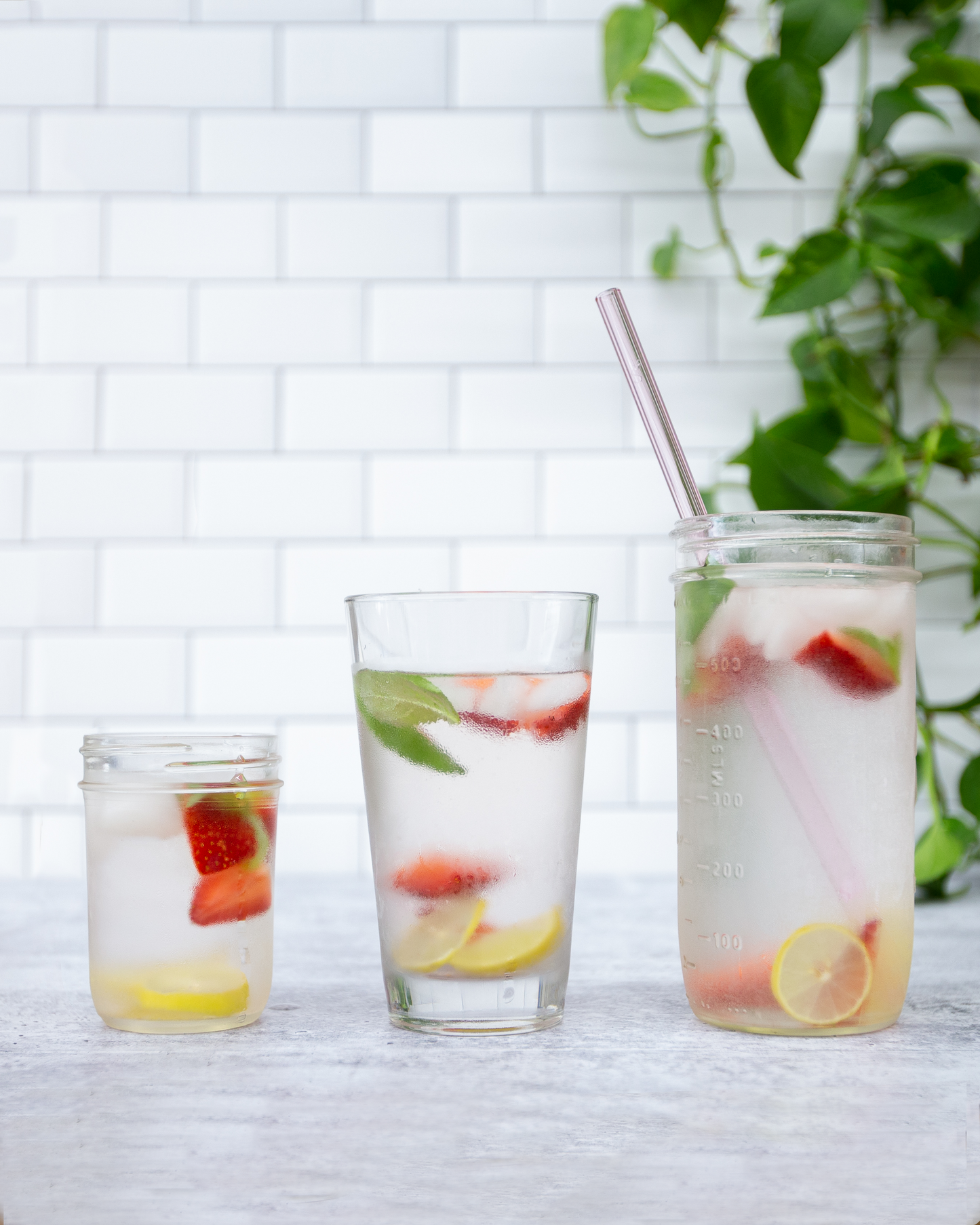 Single Straight Glass Straw