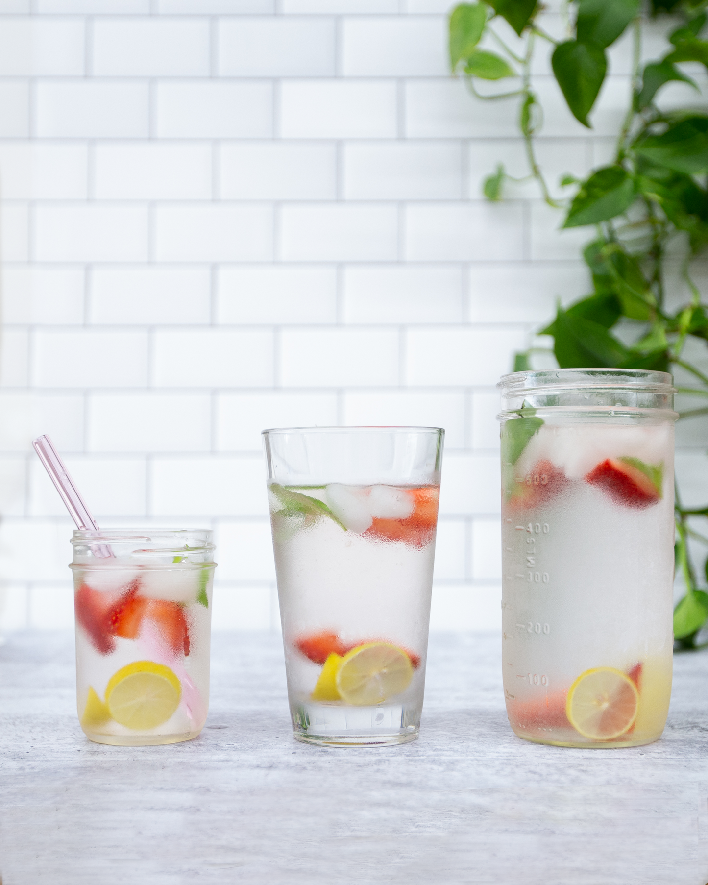 Single Straight Glass Straw