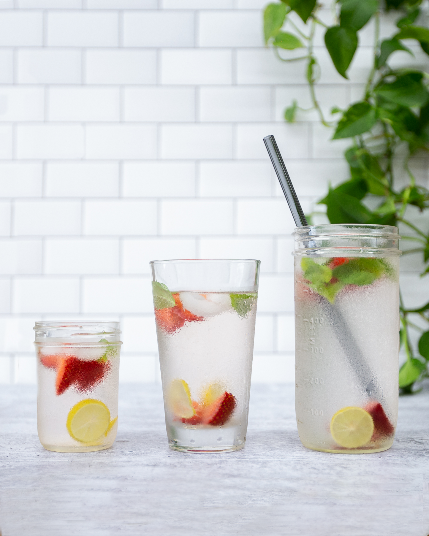 Single Straight Glass Straw