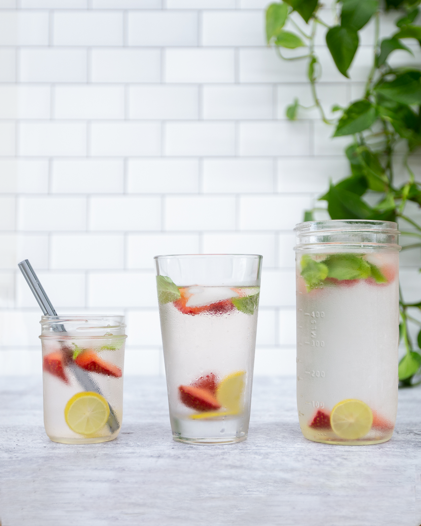 Single Straight Glass Straw