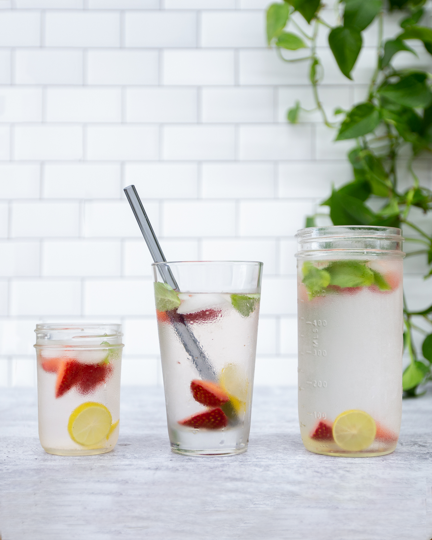 Single Straight Glass Straw