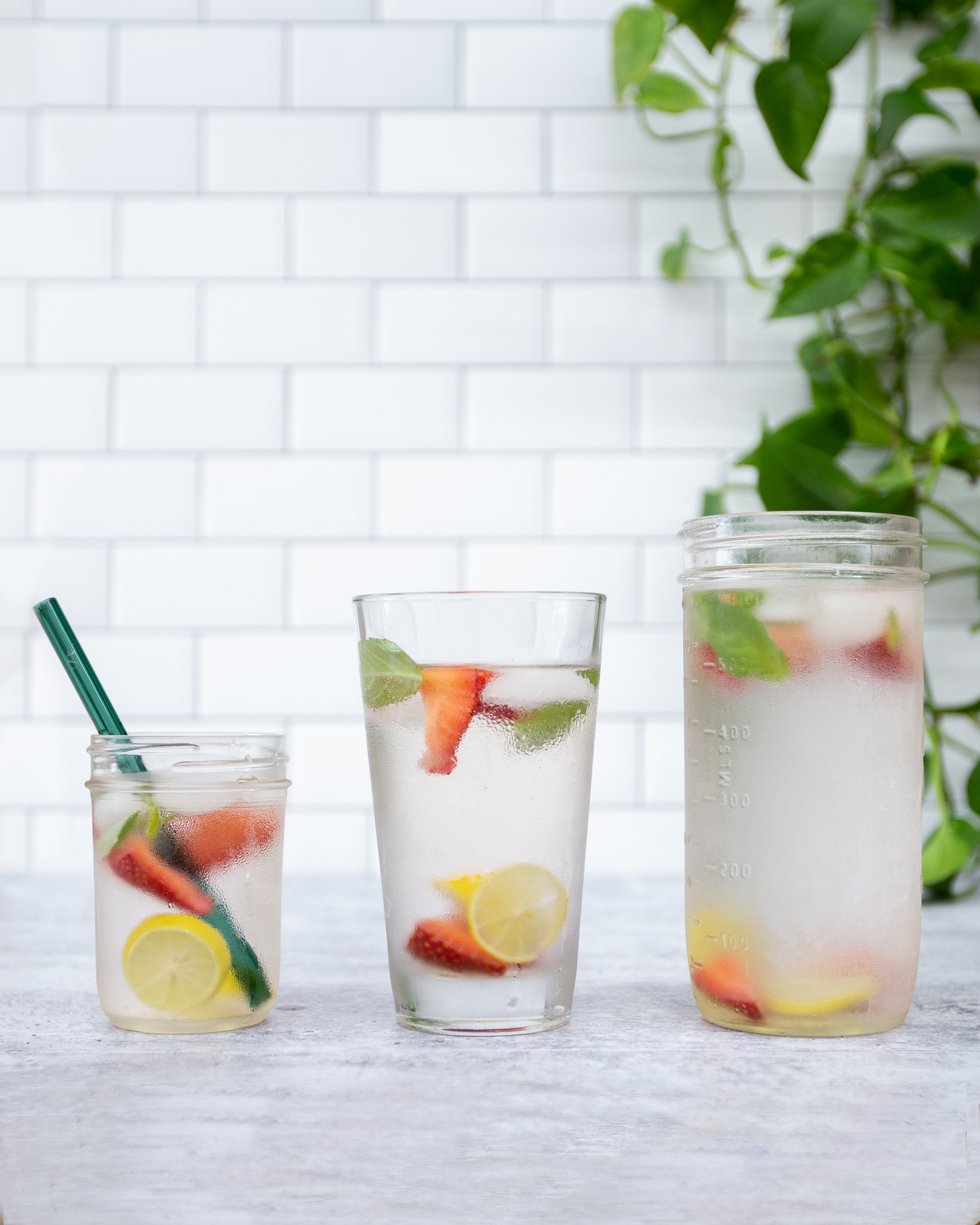 Single Straight Glass Straw