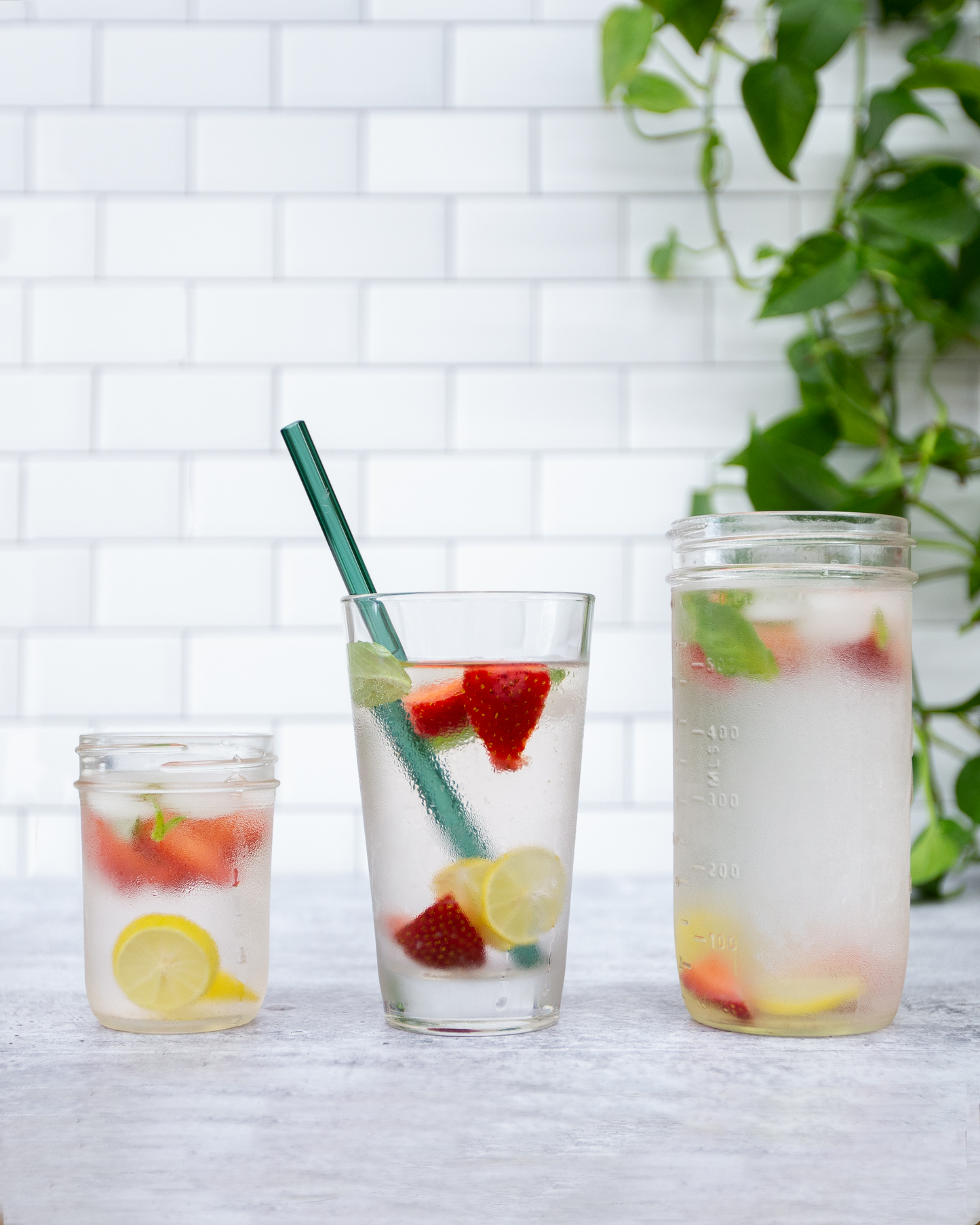 Single Straight Glass Straw