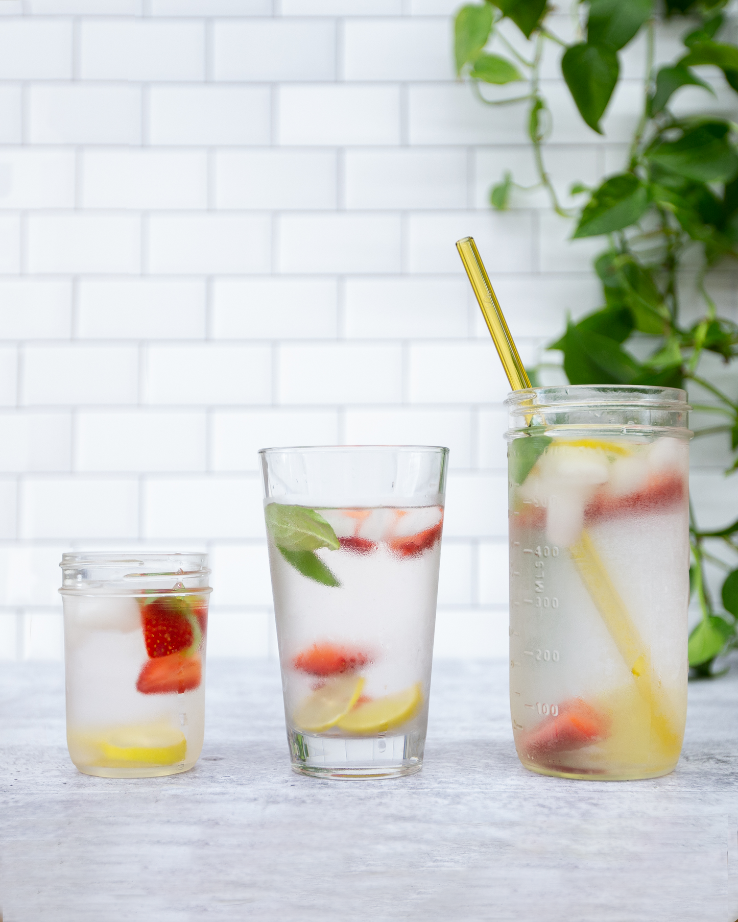Single Straight Glass Straw