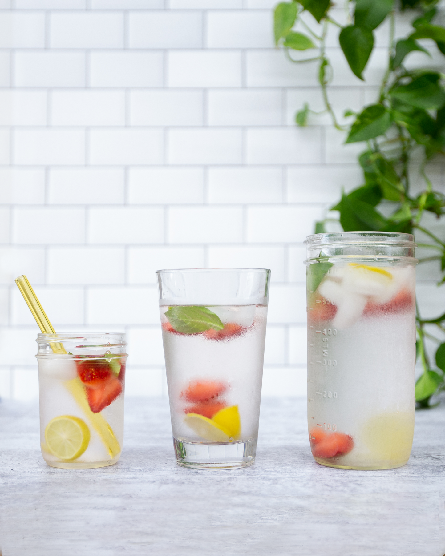 Single Straight Glass Straw