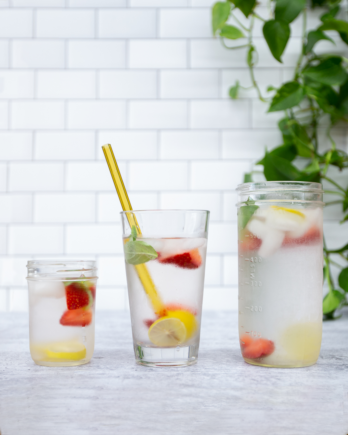 Single Straight Glass Straw