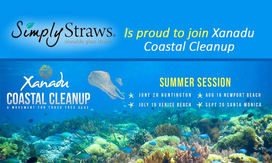 COASTAL CLEAN UP: “A Movement for Trash Free Seas”
