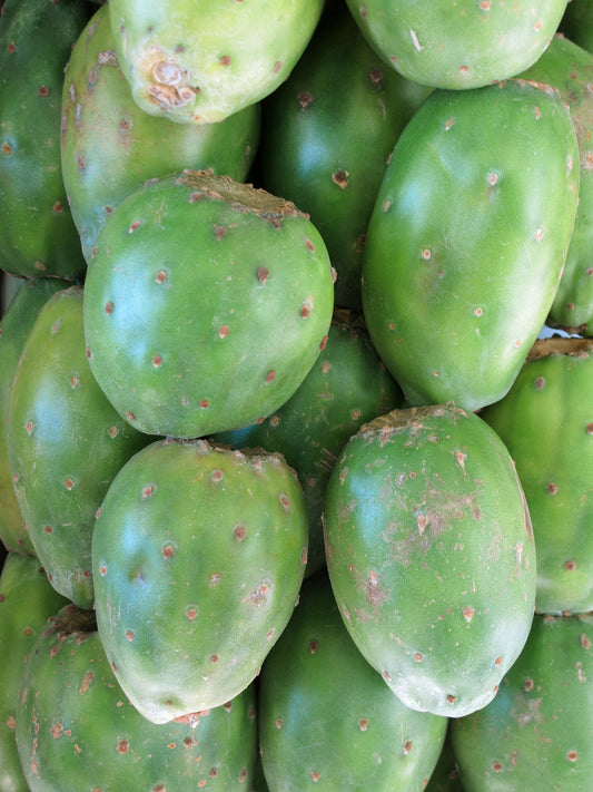 Is Cactus Juice the New Health Drink?