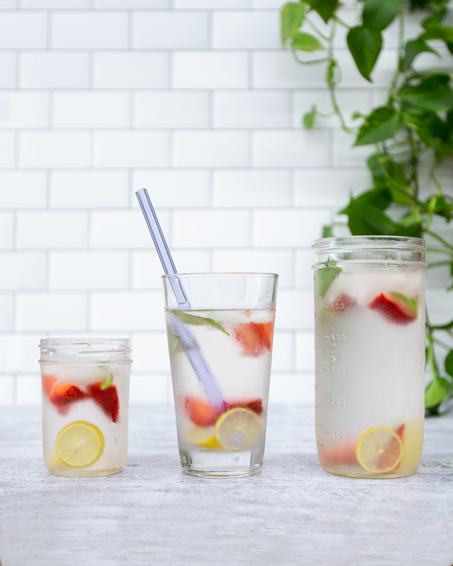 Single Straight Glass Straw