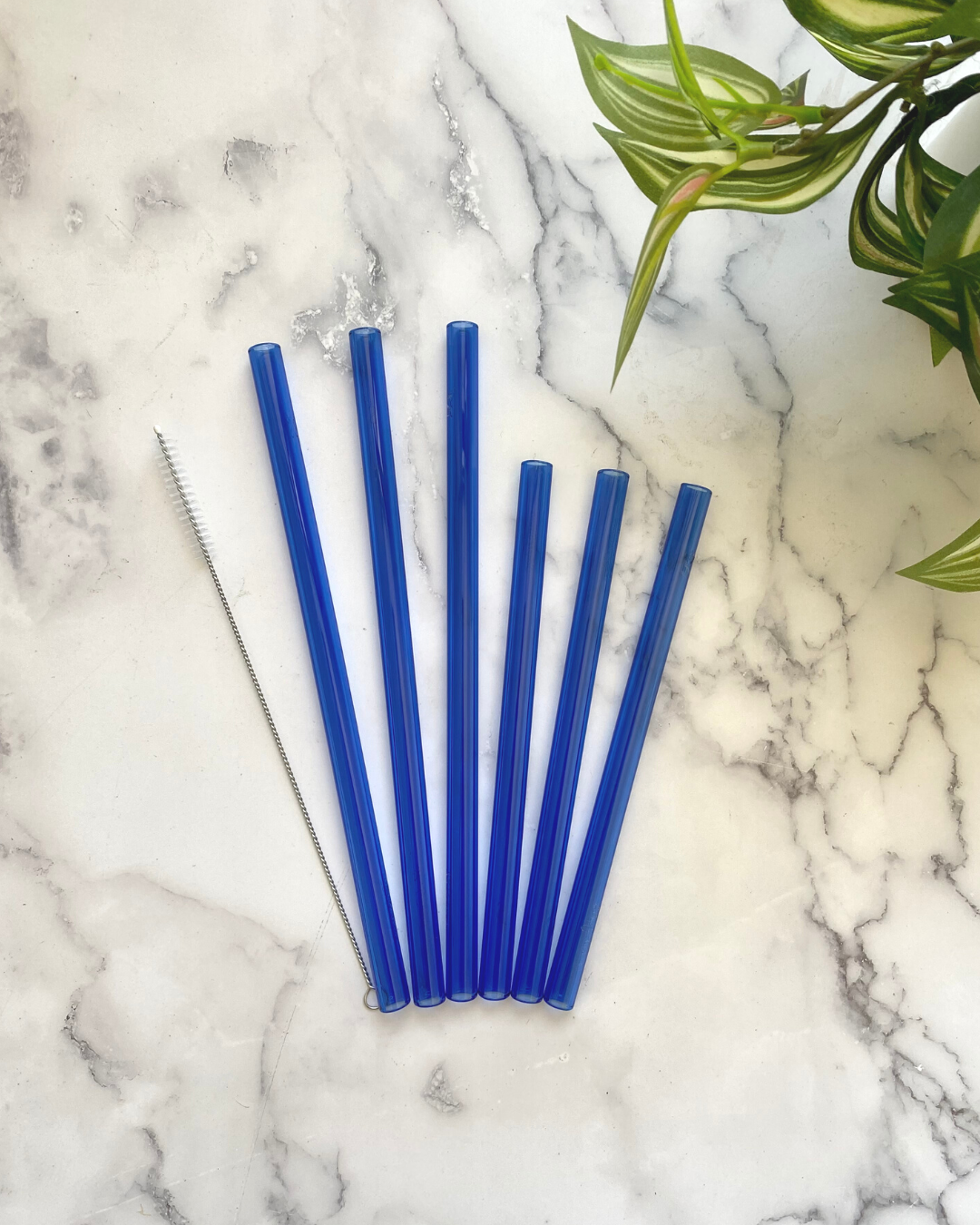 THE WIDE 50/50 SET Blue
