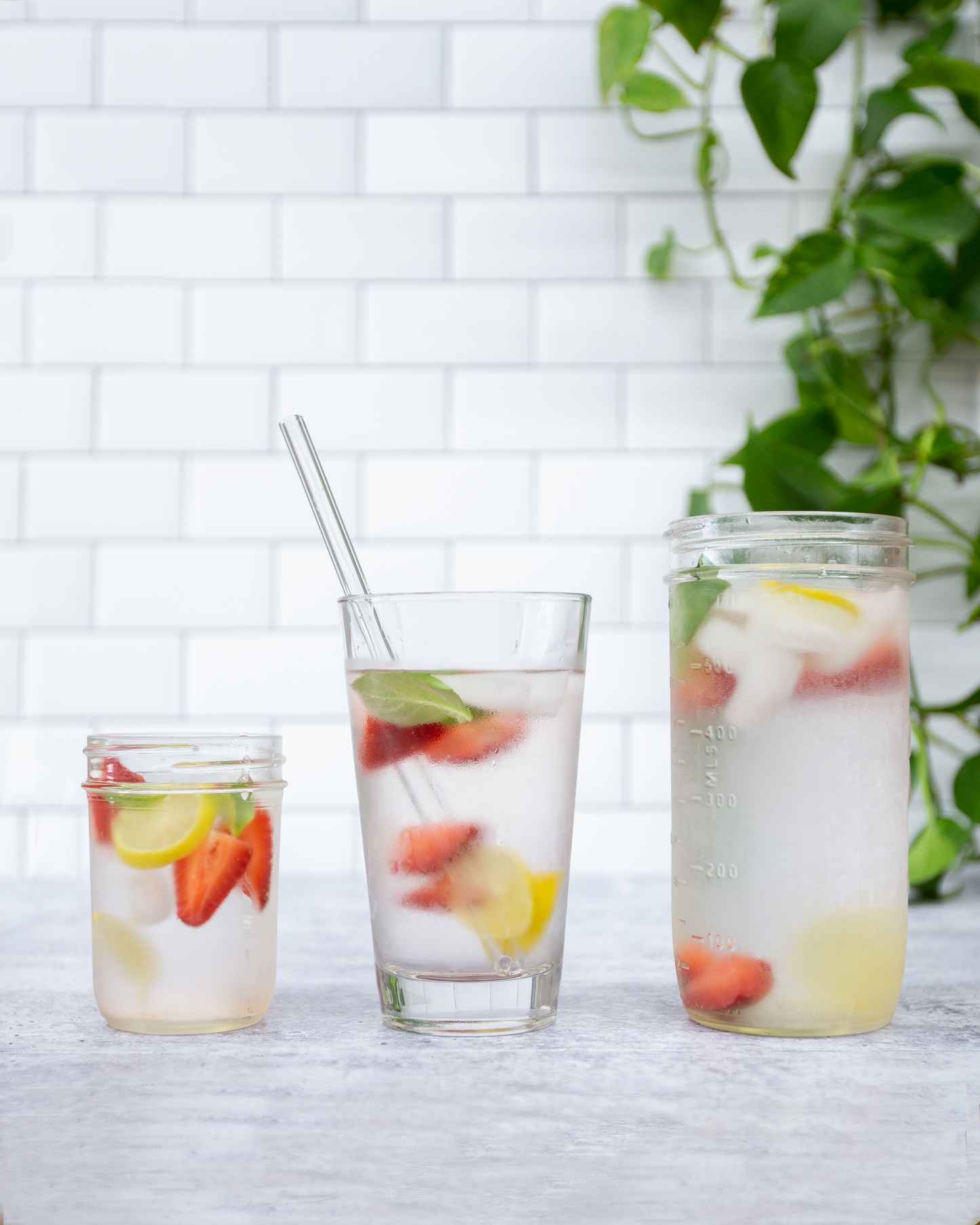 Single Straight Glass Straw