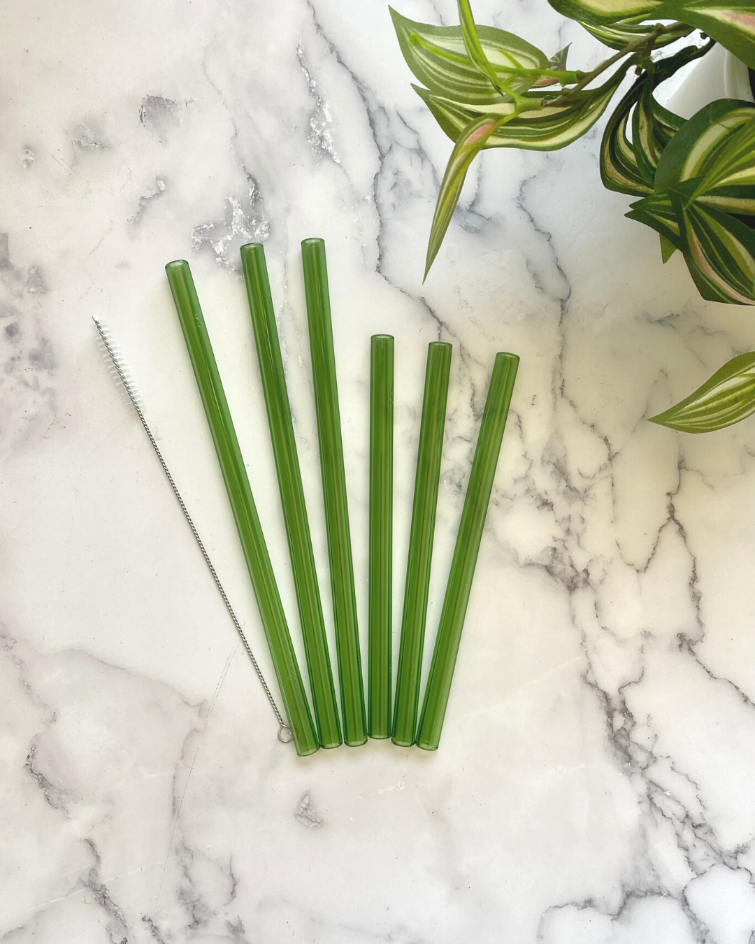 THE WIDE 50/50 SET Green