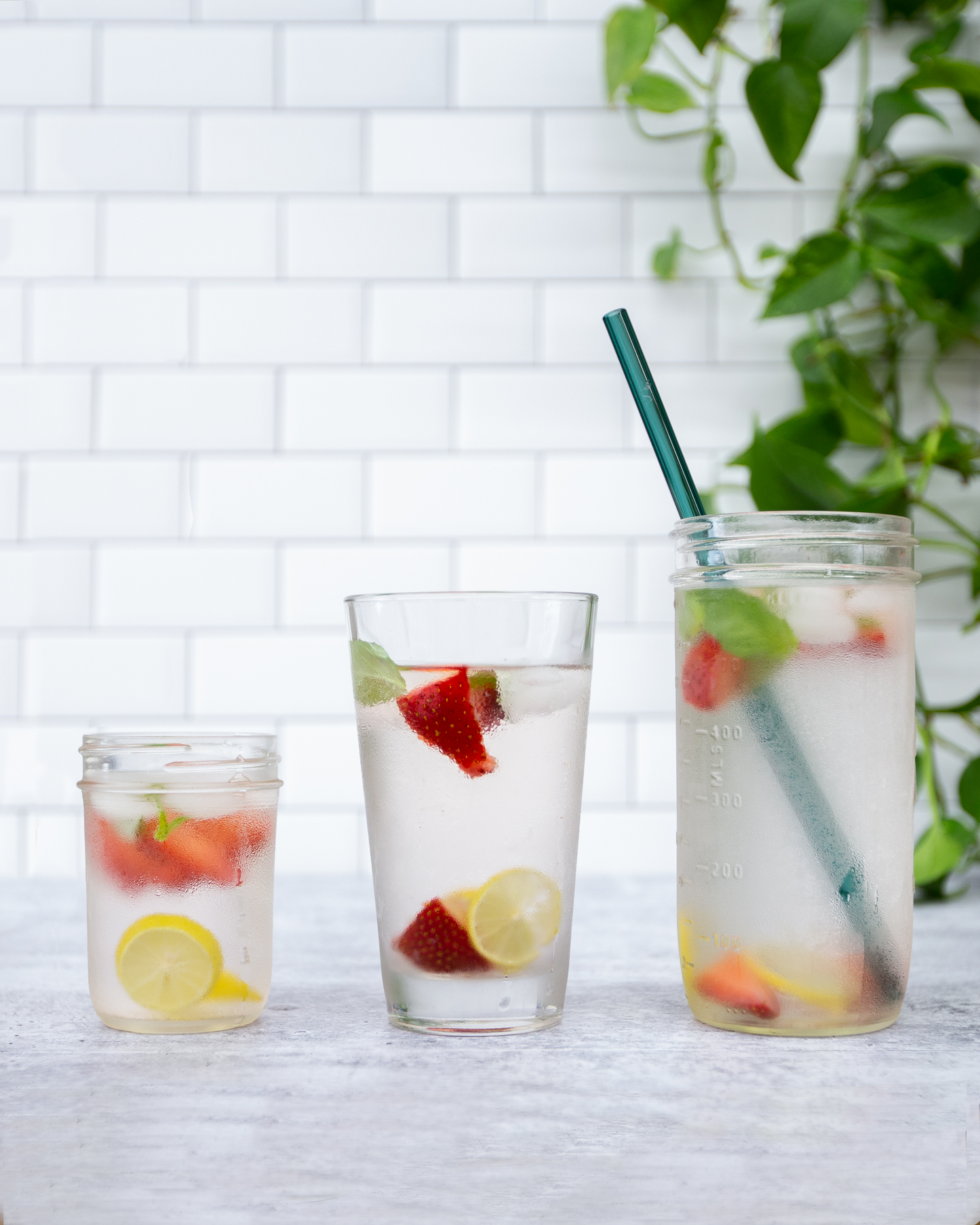 Single Straight Glass Straw